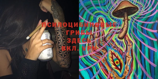 Альфа ПВП Алзамай