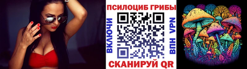купить наркоту Луза Галлюциногенные грибы MAGIC MUSHROOMS